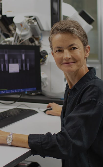 在办工作工作的女士