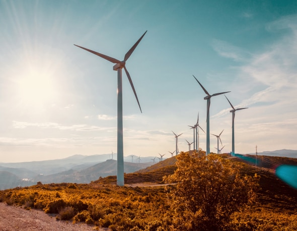 空地上的风车，提供可再生能源