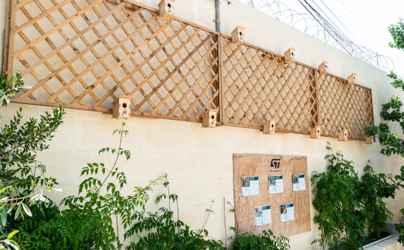 意法半导体马耳他基尔科普的禽鸟园