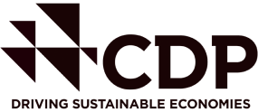 CDP标志