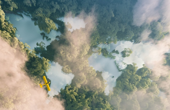 飞机和森林的航拍视角