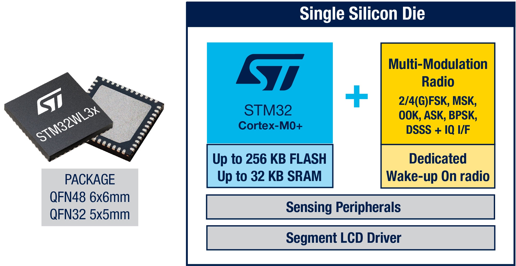 Single Silicon Die 